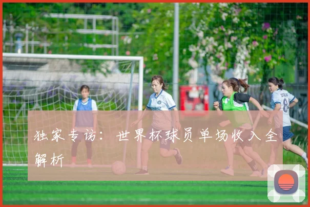 独家专访：世界杯球员单场收入全解析